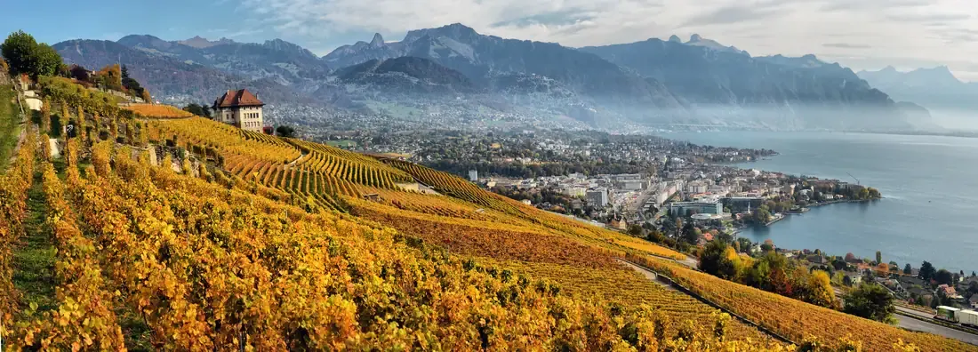 Lavaux vineyard terraces above Lake Geneva, Vaud